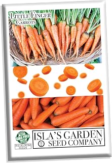 Little Finger Carrot Seeds - 500+ Heirloom Non-GMO Baby Carrots for Containers, Isla's Garden Seeds