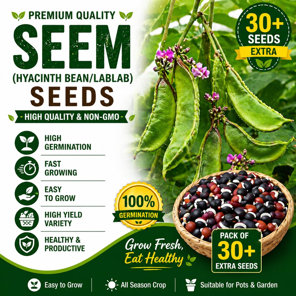 Generic Hyacinth Seem Seeds,Climbing Legume, Natural Organic Vegetable Seeds for Garden, 30 Seeds Pack, Indoor Outdoor Use-image-29
