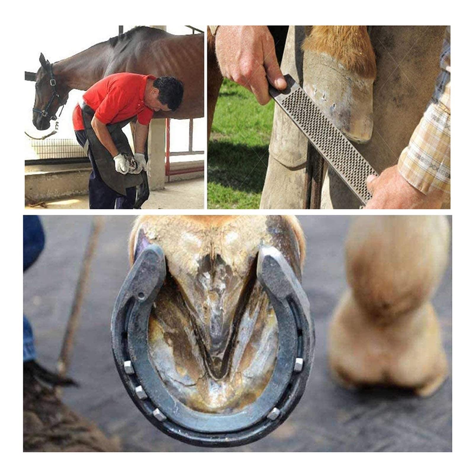 Setback narzędzia ręcznego Dopasowanie do Dwustronnego Horo HOOF RSP narzędzie do przycinania Farrier Horseshoe Przycinanie Plik Kocianka Narzędzie Naprawa Akcesoria Jeździecowe