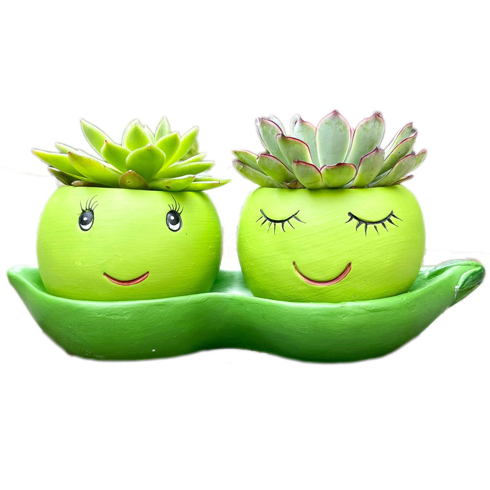 Darthome Green Two Peas In A Pod Succulent Planter Cement His Her Novelty Pot Holder Gift