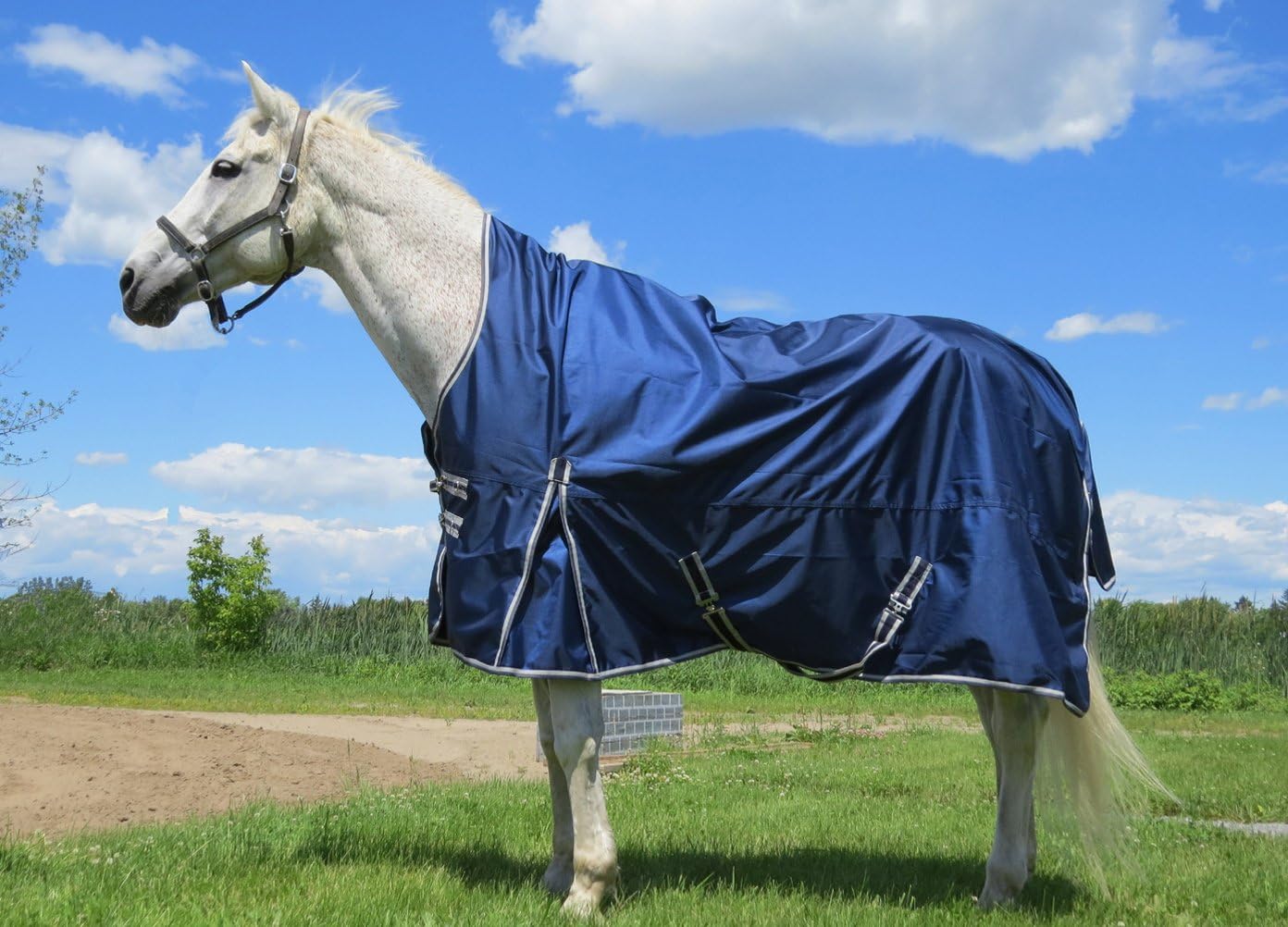 Vet Therapy Therapeutic Horse Turnout/Rain Rug with Far Infrared Polyester Knit Lining – Small 75"
