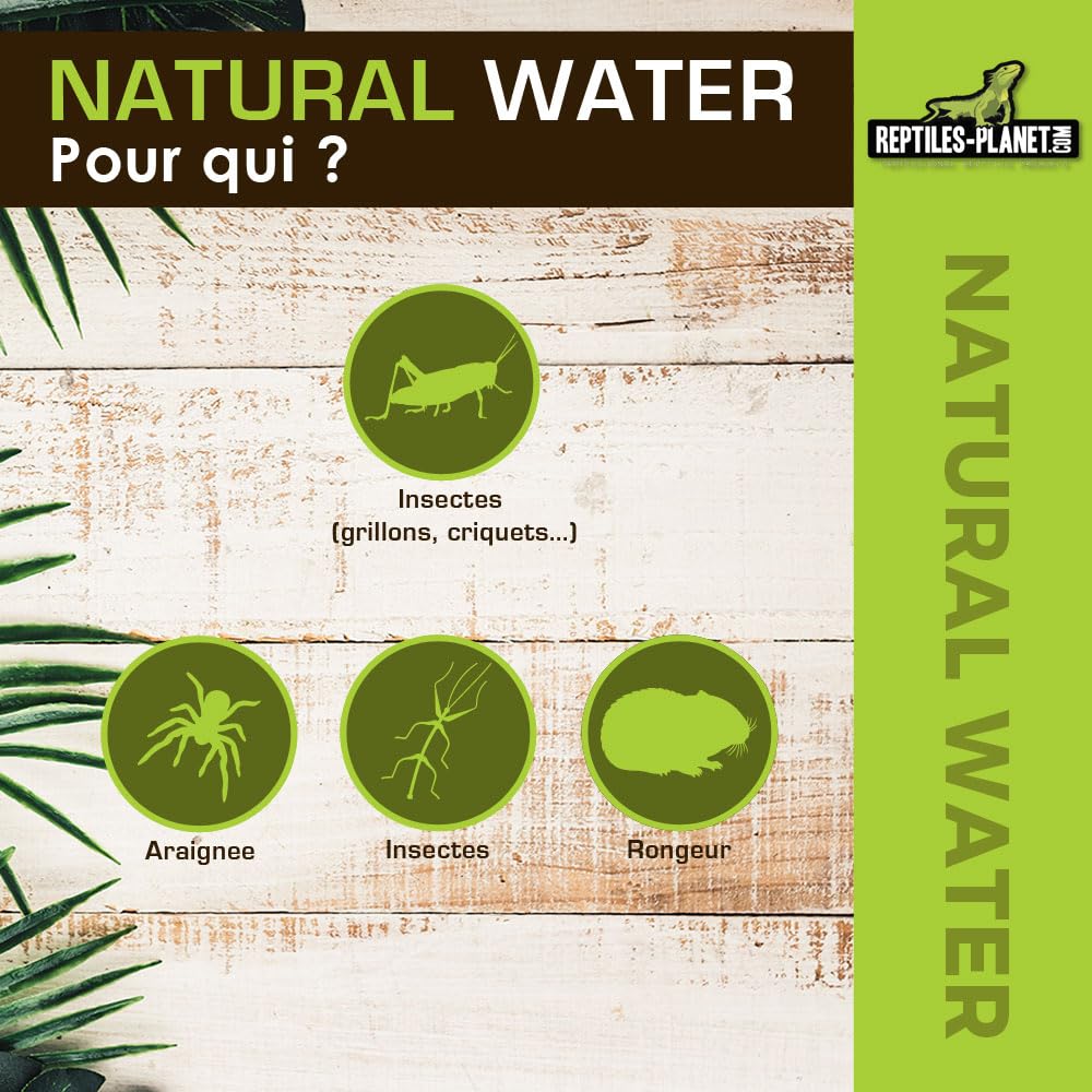 Reptiles Planet - Natural Water - Billes d'Eau Gélifiée - 500 ml