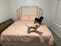 Review Image by Jessica Jessica