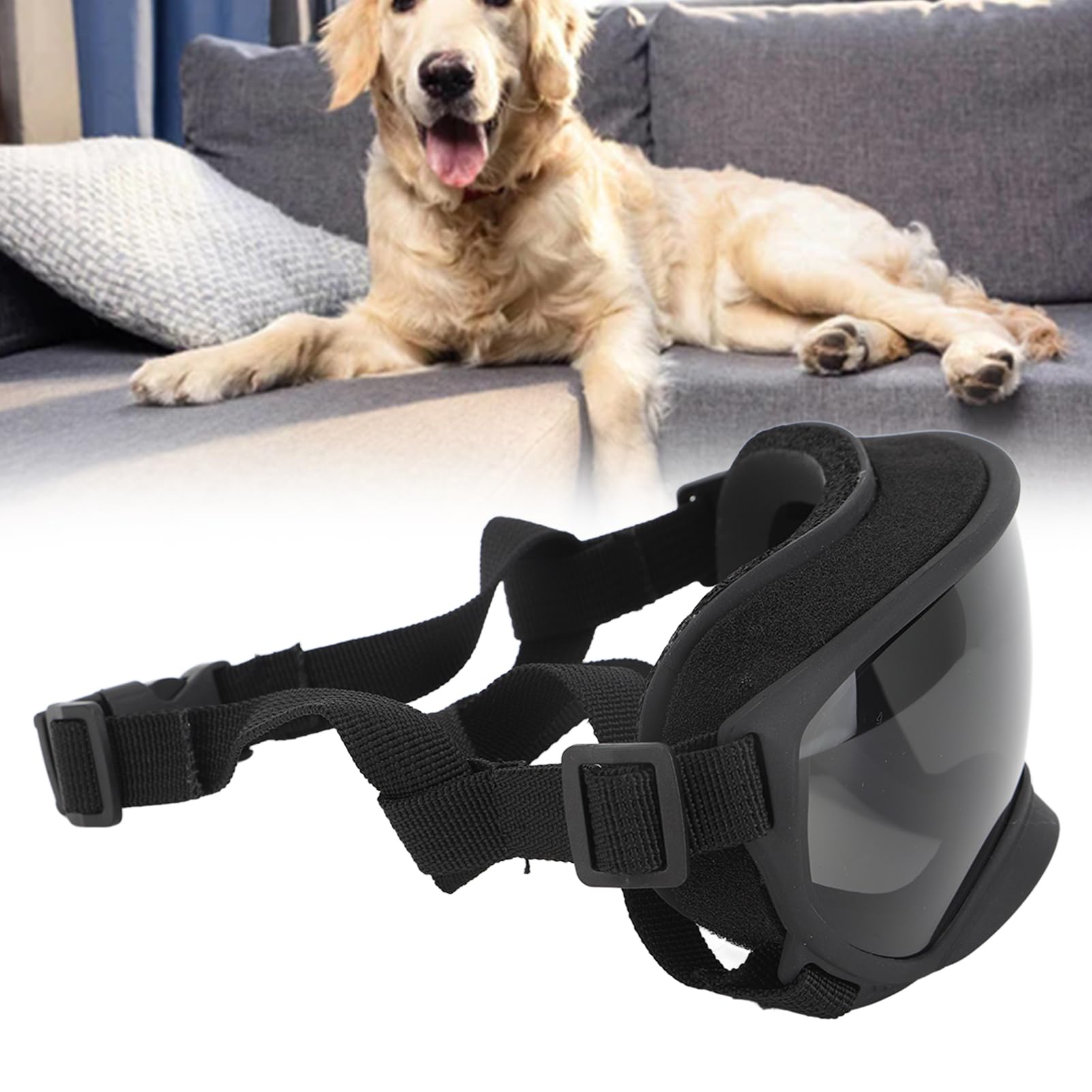 Occhiali da sole per cani di taglia grande, occhiali protettivi per gli occhi dei cani, aspetto elegante, occhiali per cani con montatura elastica in PVC, occhiali da sole per cani di taglia grande