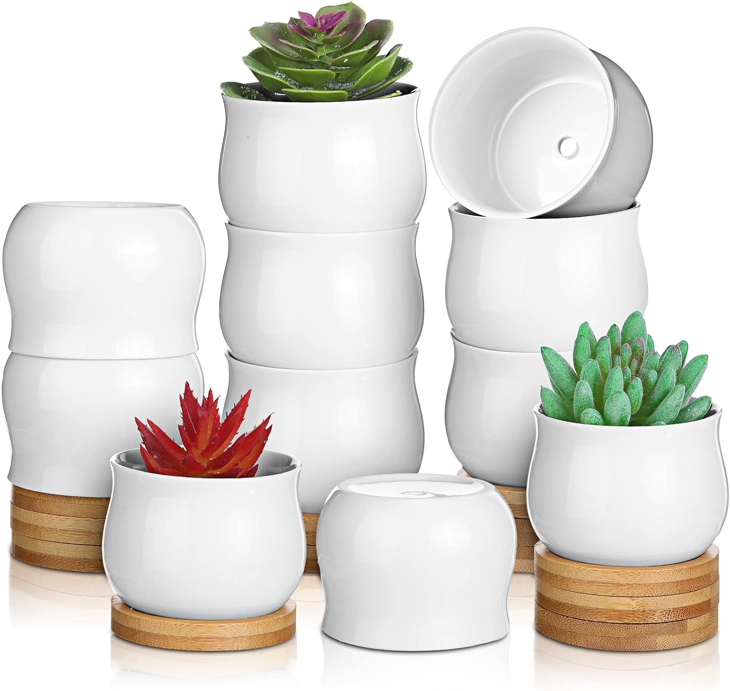 24 Pcs Succulent Pots Mini White Ceramic Flower Planter