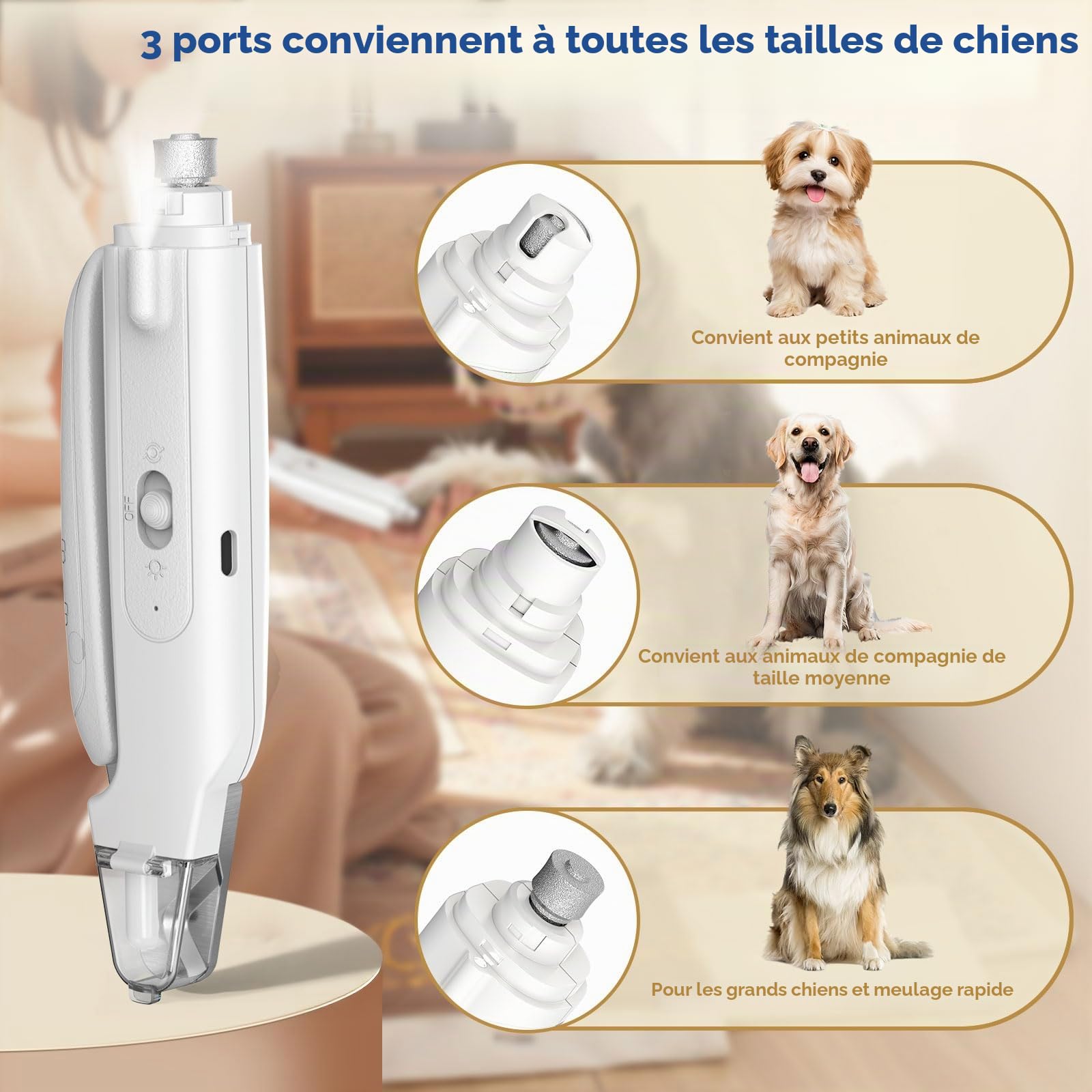 Coupe-griffes 2 en 1 pour chien et chat avec lumière, coupe-griffes et broyeur de type C