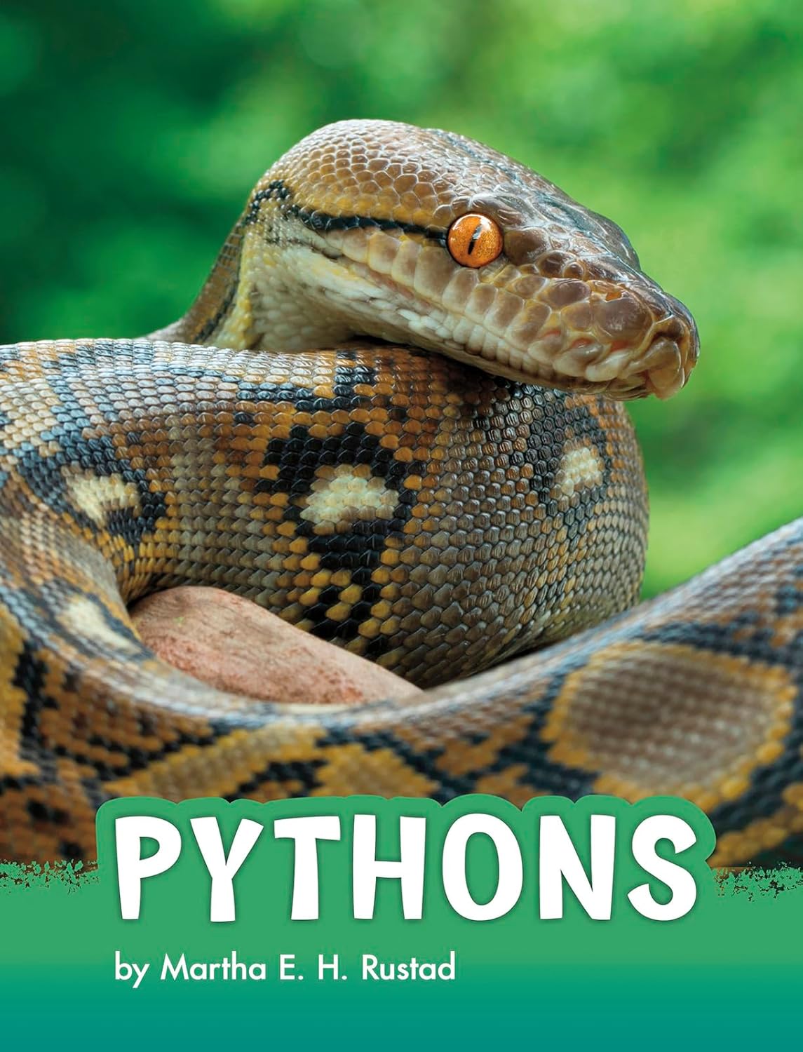 Pythons (Animals): Rustad, Martha E. H.: 9781977123190: Amazon.com: Books
