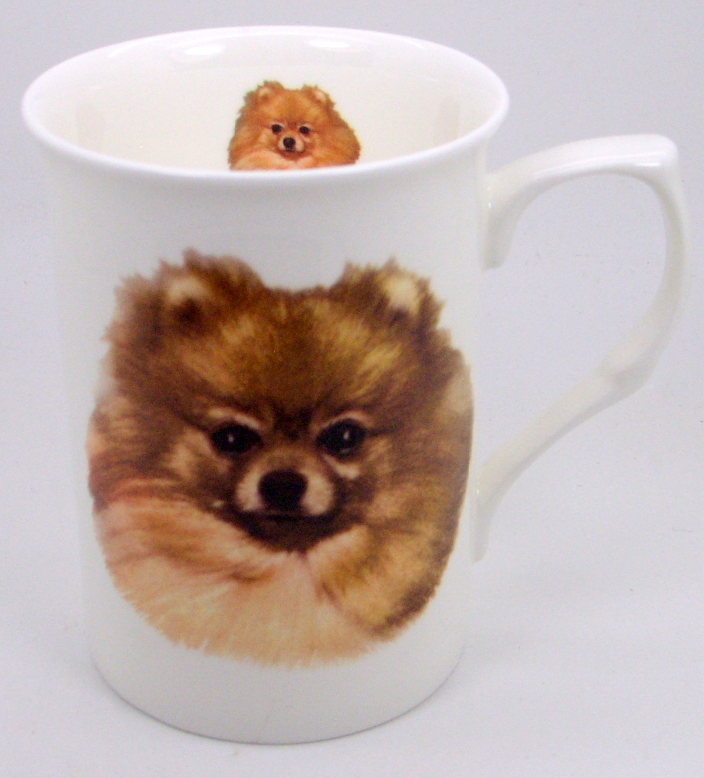 The Plate Collectors Shop Pomeranian Fine Bone China 10 0Z Mug ~ Hand Decorated In Stoke On Trent