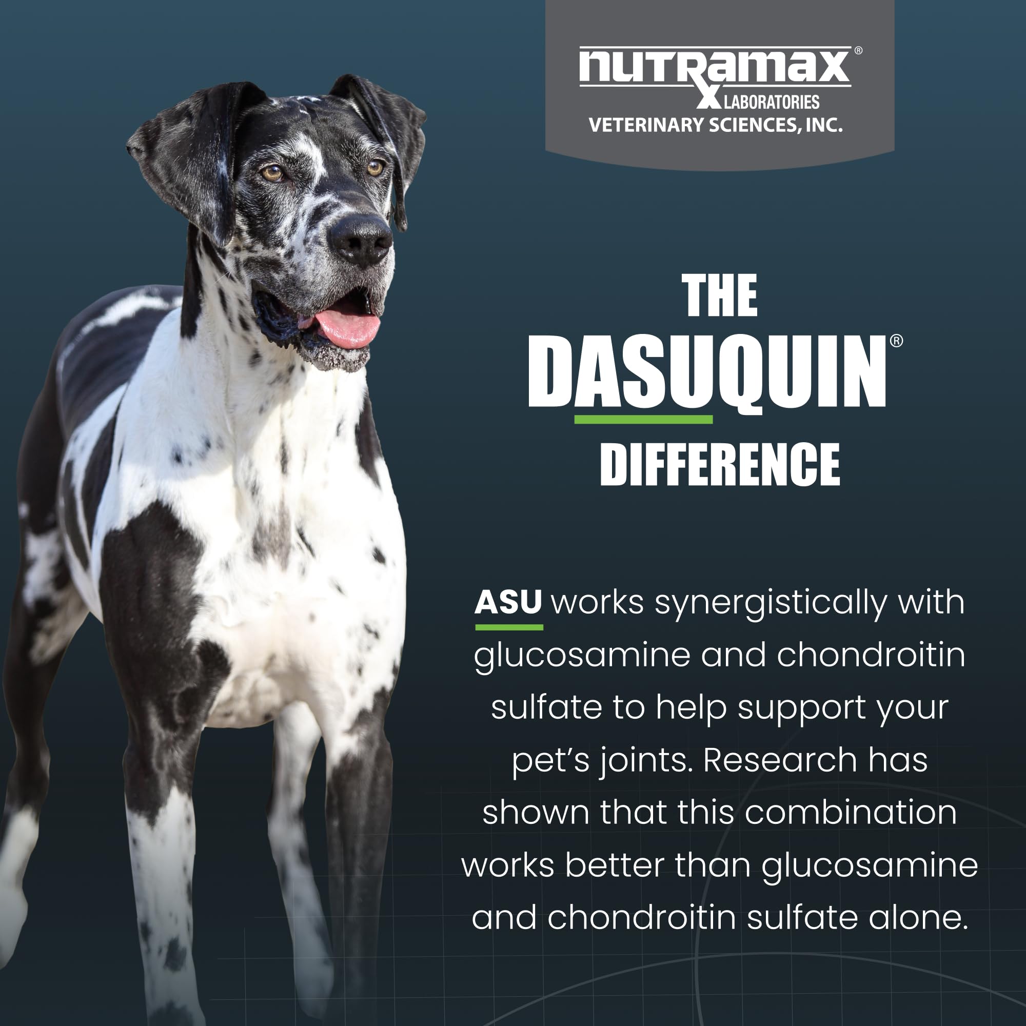 Nutramax Dasuquin for Large Dogs, Joint Health Supplement, Contains Glucosamine for Dogs, Plus Chondroitin, ASU, MSM and More, Supports Healthy Joints, Soft Chews, 42 Count - image 6