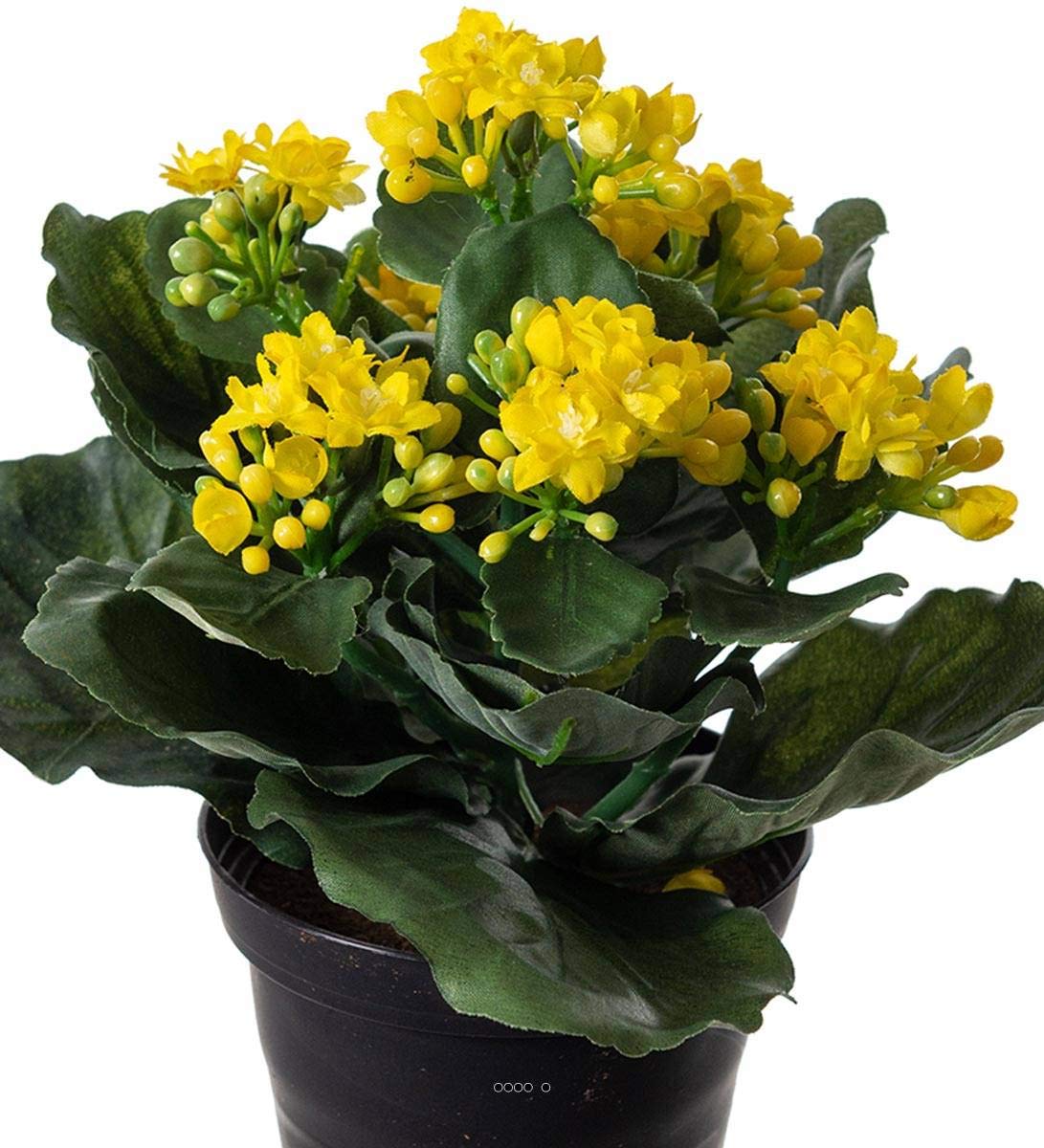 knstliche pickel aknederm pure