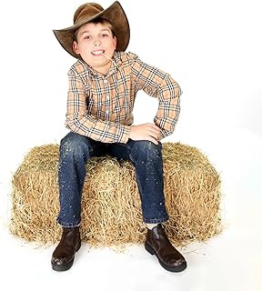 Realistic Large Hay Bale 32x16x16in with Real Straw – Supports 200lbs – ...