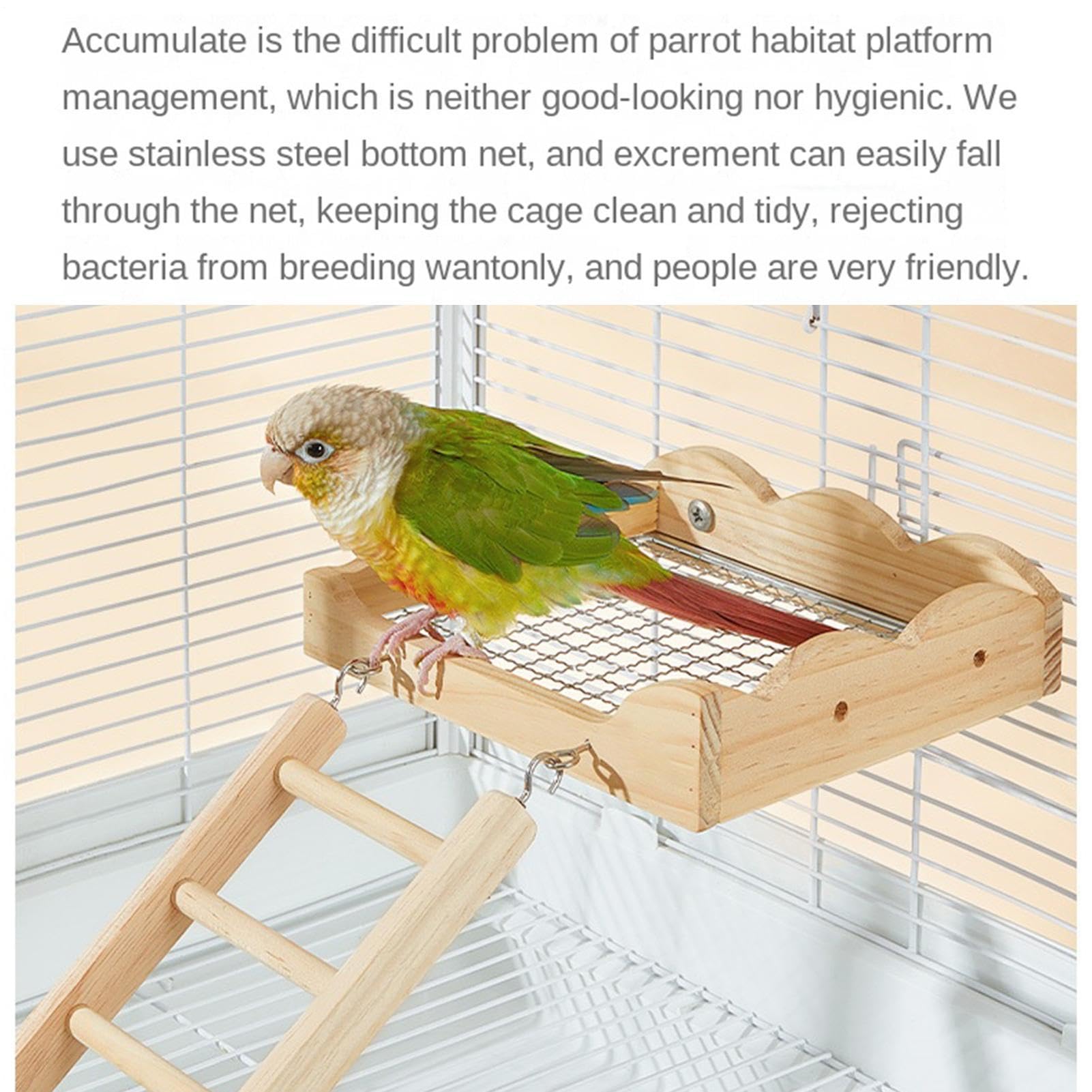 Générique Échelle pour Oiseaux en Bois Jouet avec Échelle d'Escalade