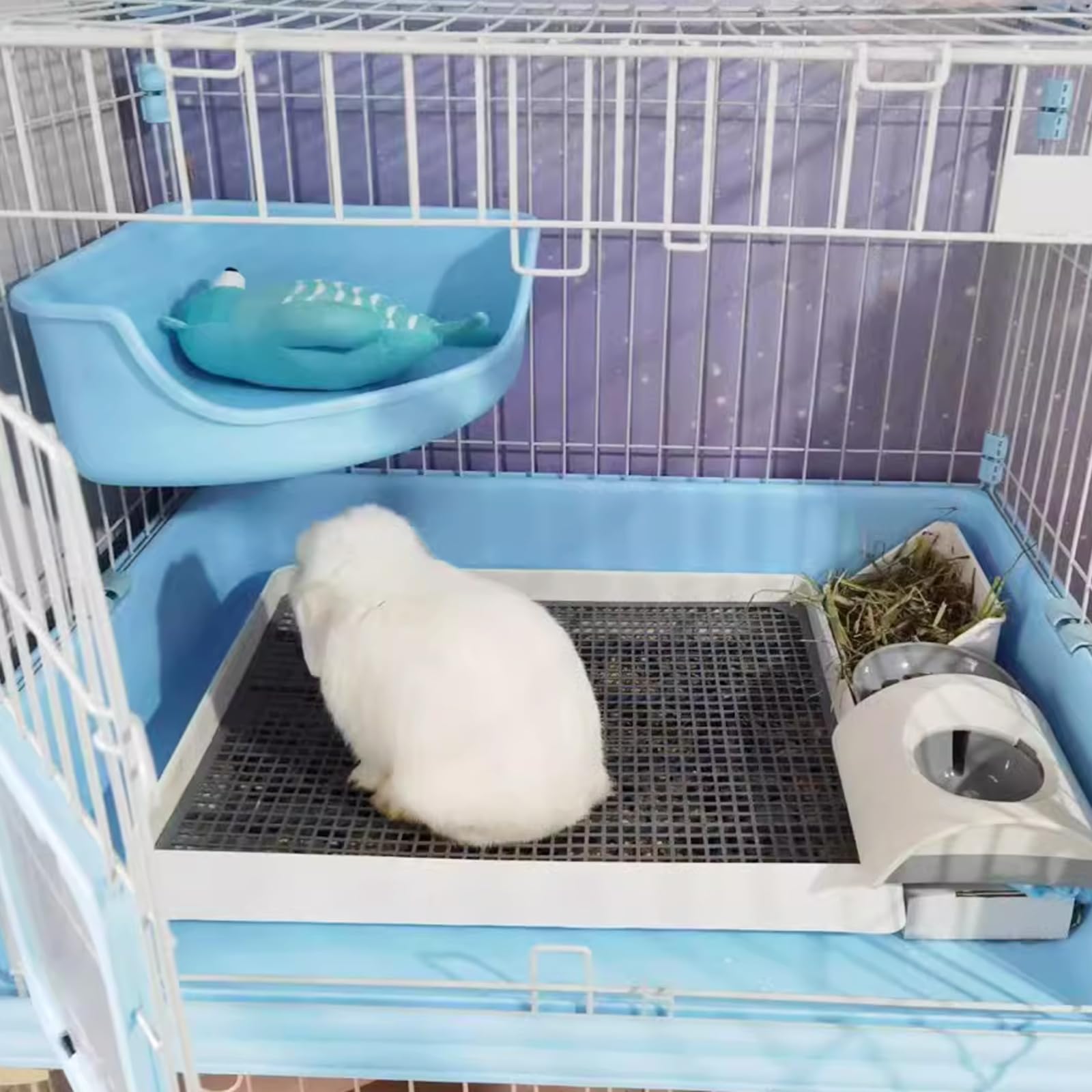 kyaoayo Lettiera per gatti di coniglio, taglie forti, per animali domestici, per bambini, conigli, porcellini d'India, cincillà, furetti (XL)