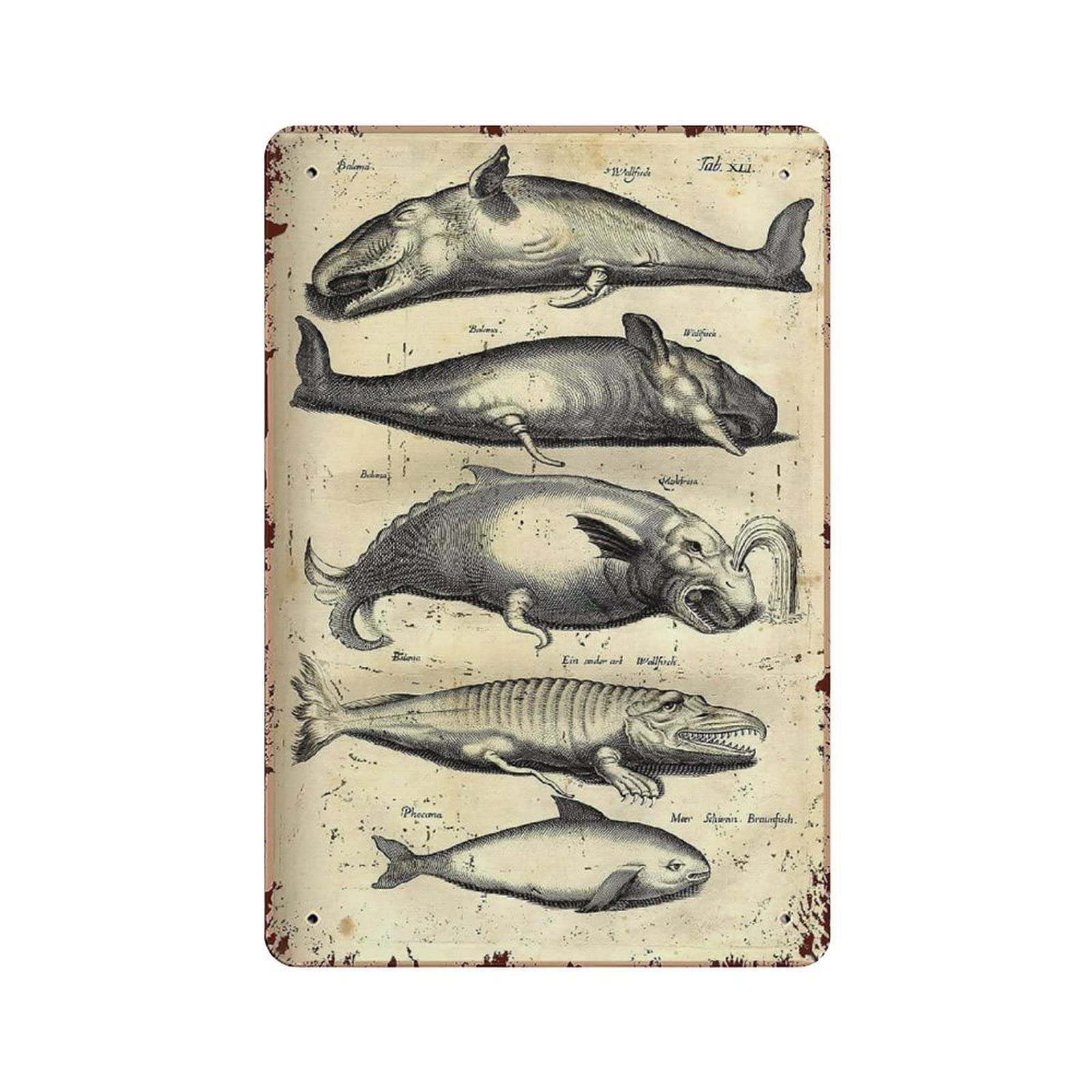Metal Tin Sign Types of Fish Vintage Tin Poster Metal Sign Wall Decoration Country Kitchen Home Garage Decor 12"x8"