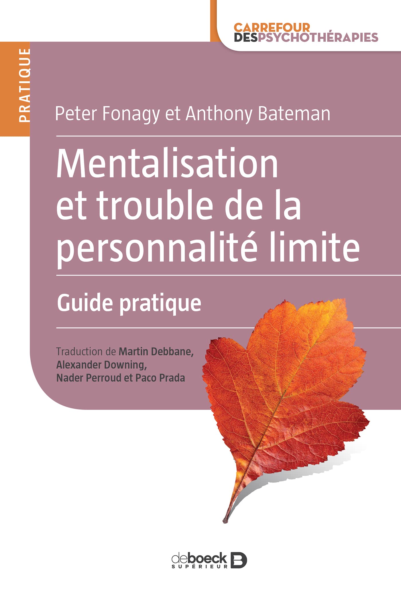 Mentalisation et trouble de la personnalité limite: Guide pratique
