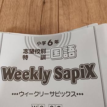 SAPIX 小学6年 志望校別特訓 理科 ウィークリーサピックス WS-01〜36 計36回分セット 2023 108L2D SAPIX 小学6年 志望校別特訓 理科 ウィークリーサピックス WS-01
