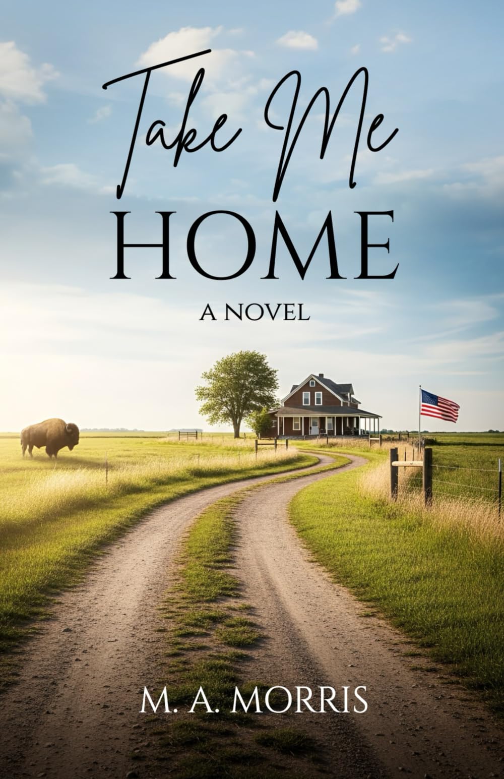 Take Me Home