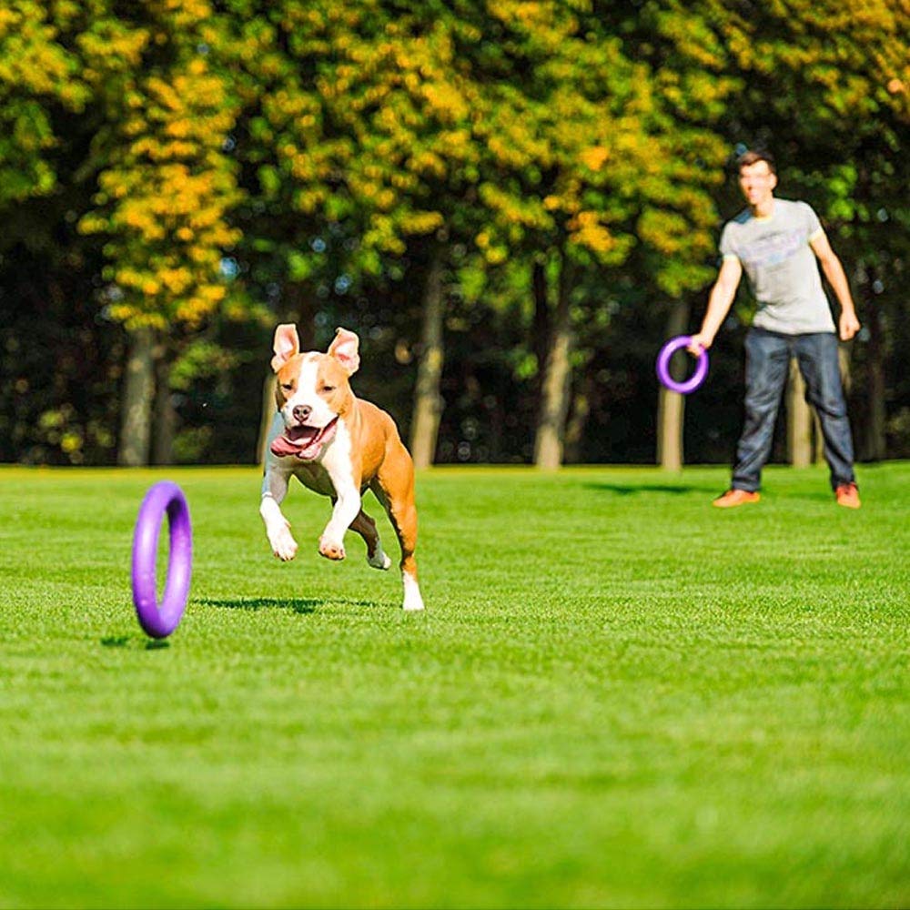 Ferplast Gioco Cane, Anello Addestramento Cani da Masticare, per Corsa, Salto, Tiro, Materiale Robusto Atossico, Galleggiante, PULLER STANDARD, Giochi per Cane, Set di 2 Anelli Fitness