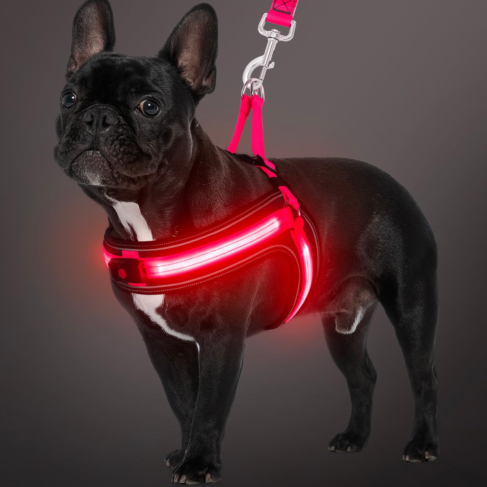 BiPawTi Light Up Dog Harness for Medium Dogs LED Light 3 Flashing Modes Glow in the Dark, USB Rechargeable Safety Pet Vest