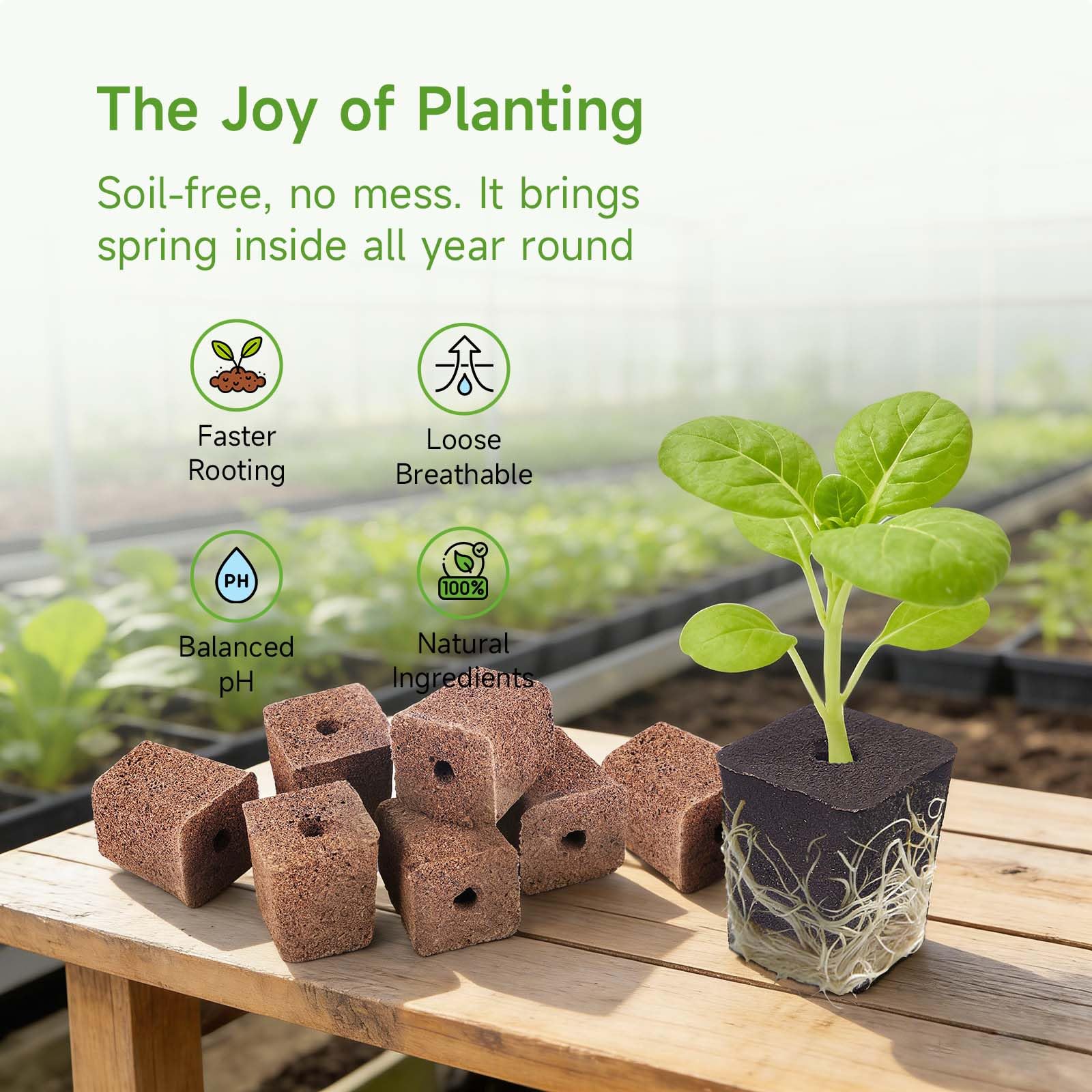 Paquete de 50 esponjas de cultivo, esponja cuadrada de repuesto, esponjas de inicio de plántulas para sistema hidropónico de jardín interior, kits de germinación de enraizamiento