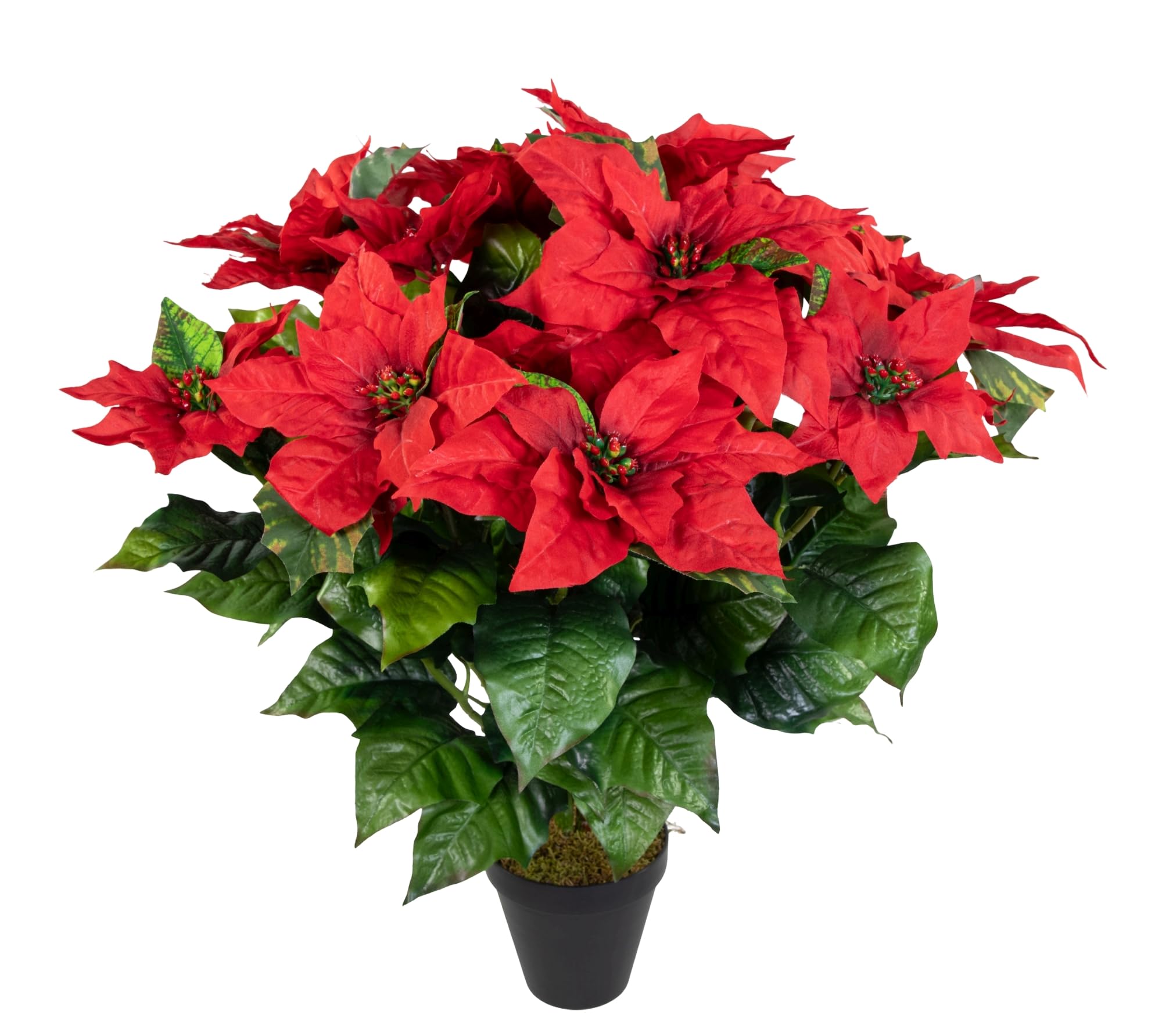 Seidenblumen Roß Weihnachtsstern 65x60cm im Topf rot PM künstliche Pflanzen Blumen Kunstpflanzen Kunstblumen Poinsettie