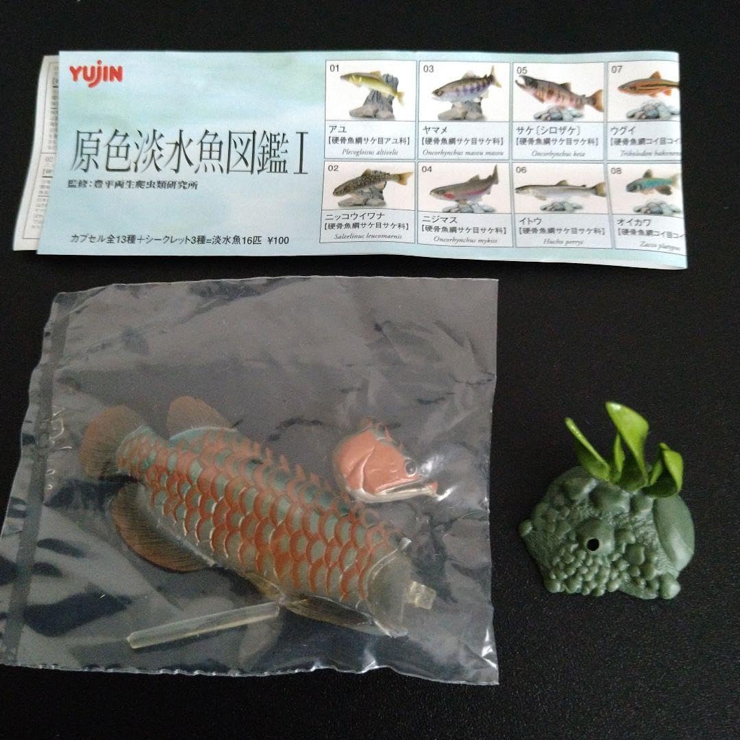 即決 原色淡水魚図鑑Ⅰ改訂版 シークレット・アジアアロワナ(過 即決 原色淡水魚図鑑Ⅰ改訂版 シークレット・アジアアロワナ(過