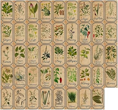 Herb and Spice Apothecary Labels Vintage Labels Stickers for Jars Bottles  Tags