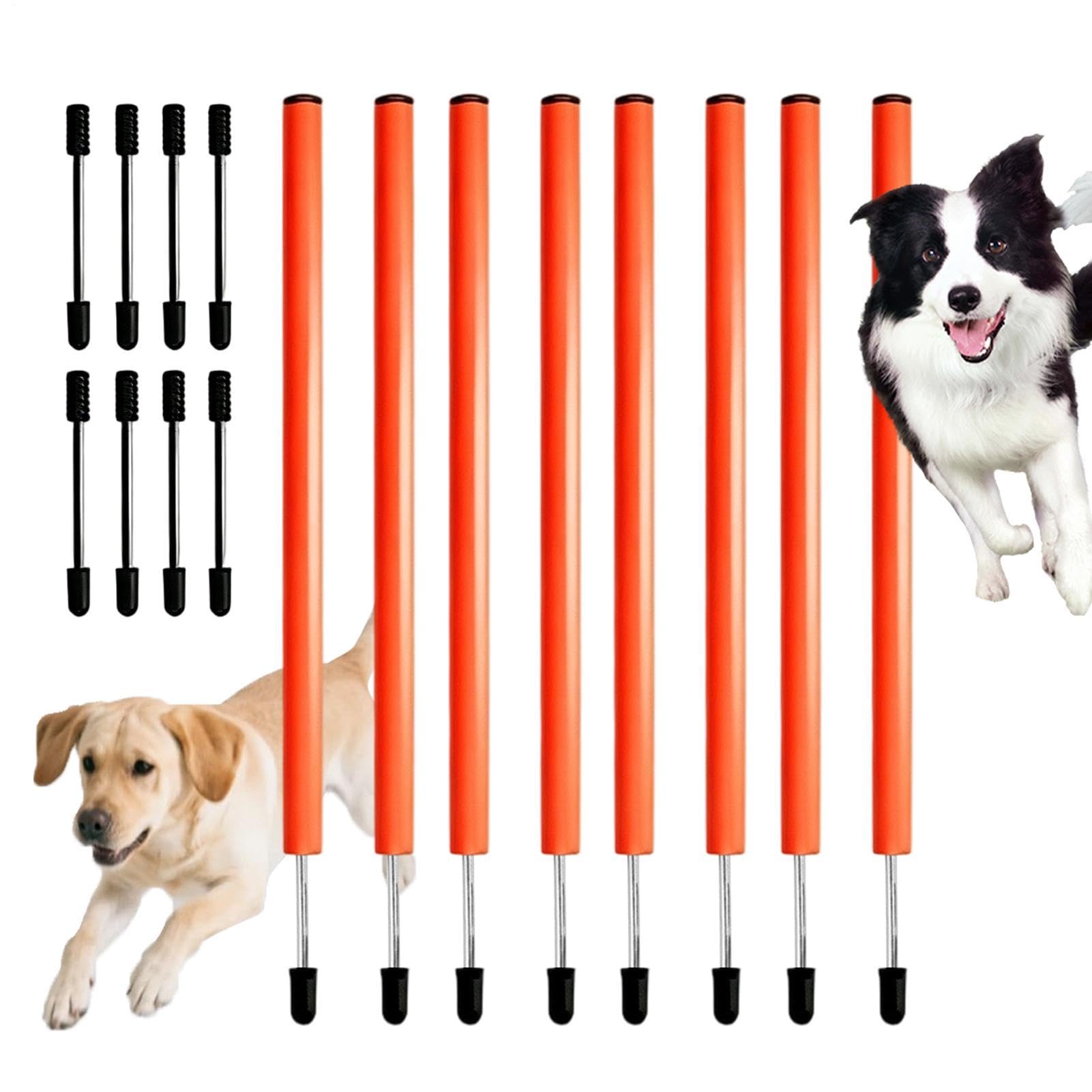 Dog Weave Pali Portatile Leggero Outdoor Training Tool