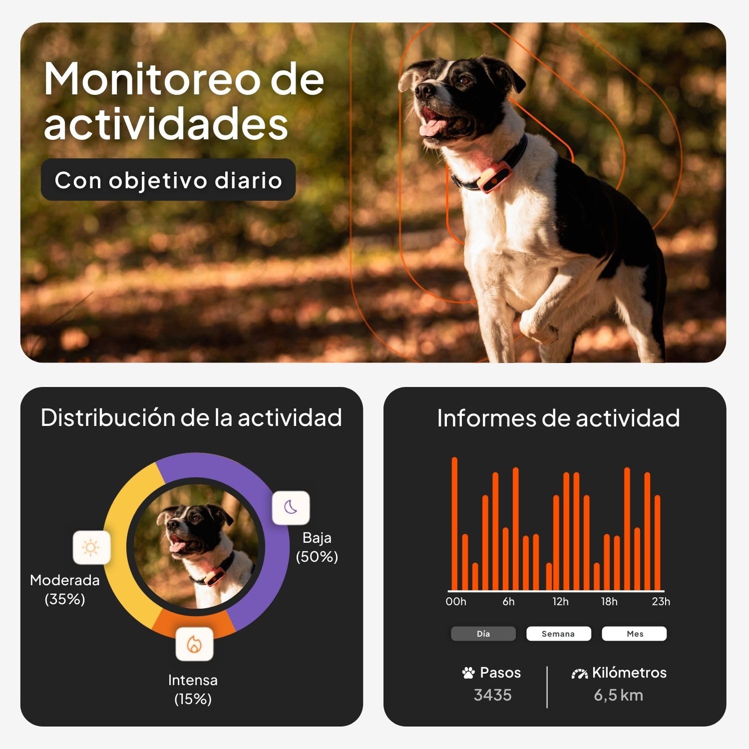 Weenect XS para Perros – Nuevo Mini rastreador GPS para Perros | Seguimiento GPS en Tiempo Real | Modelo más pequeño del Mercado | Suscripción | Resistente al Agua