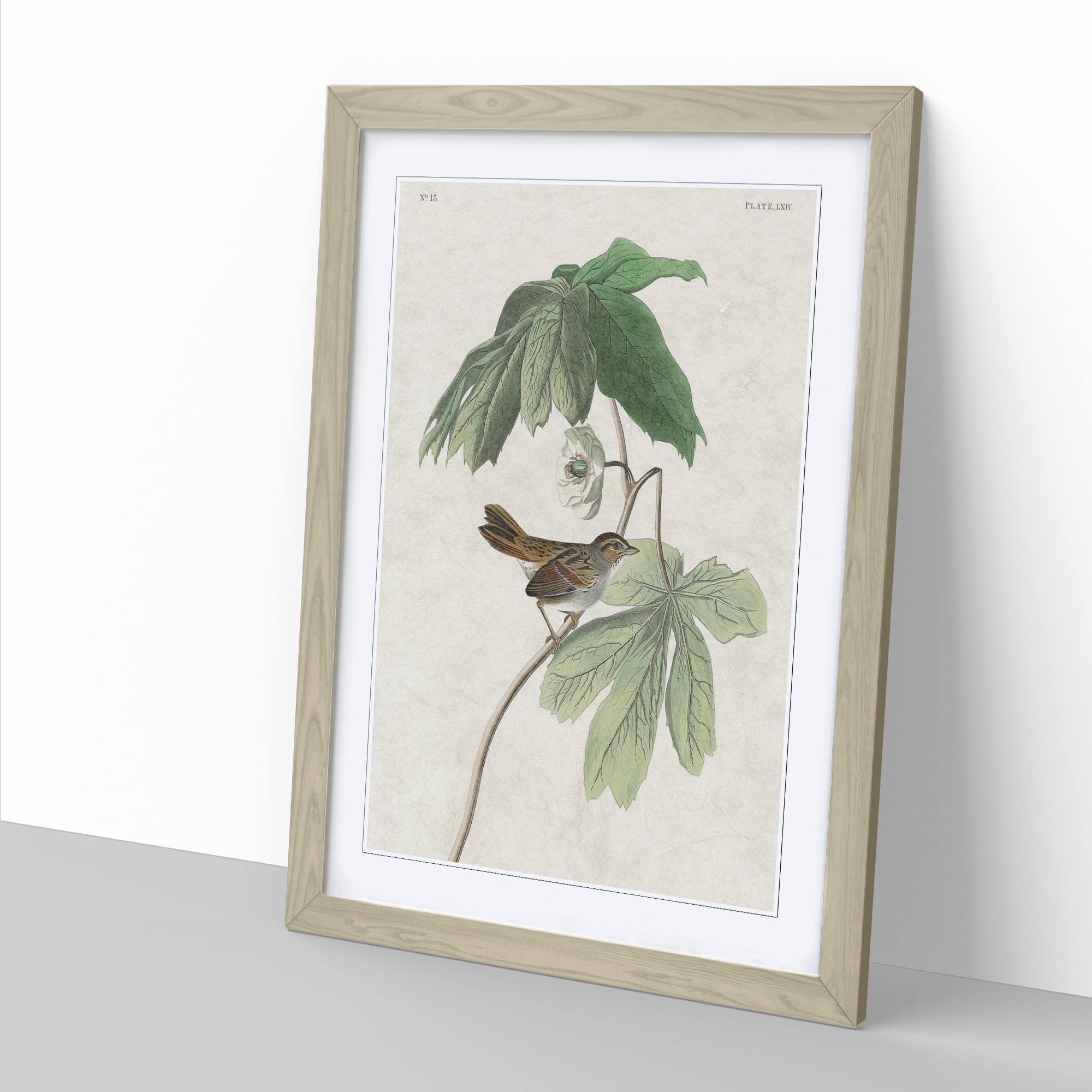 Swamp Sparrow By John James Audubon Vintage Framed Wall Art Print - Image 3