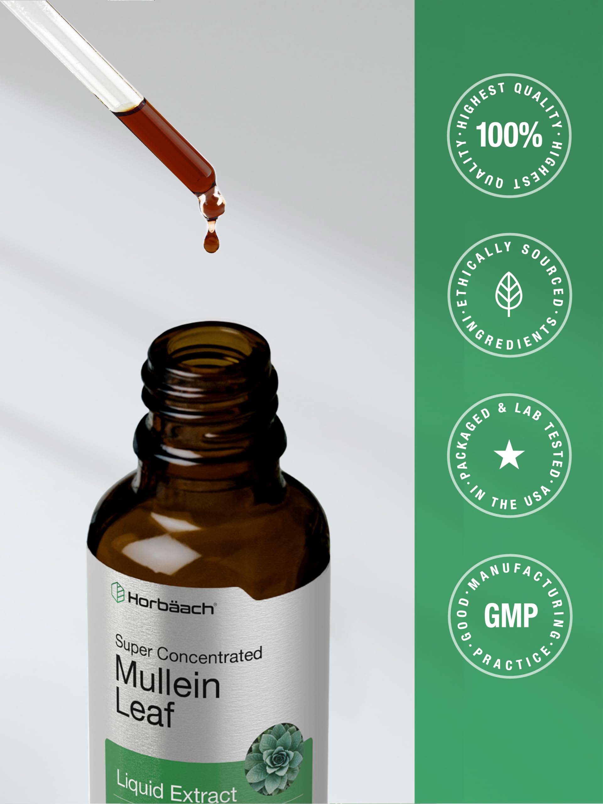 Horbäach Mullein Leaf Extract Drops | 2 fl oz — Amazon image 7