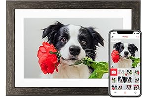 Frameo Digital Picture Frame