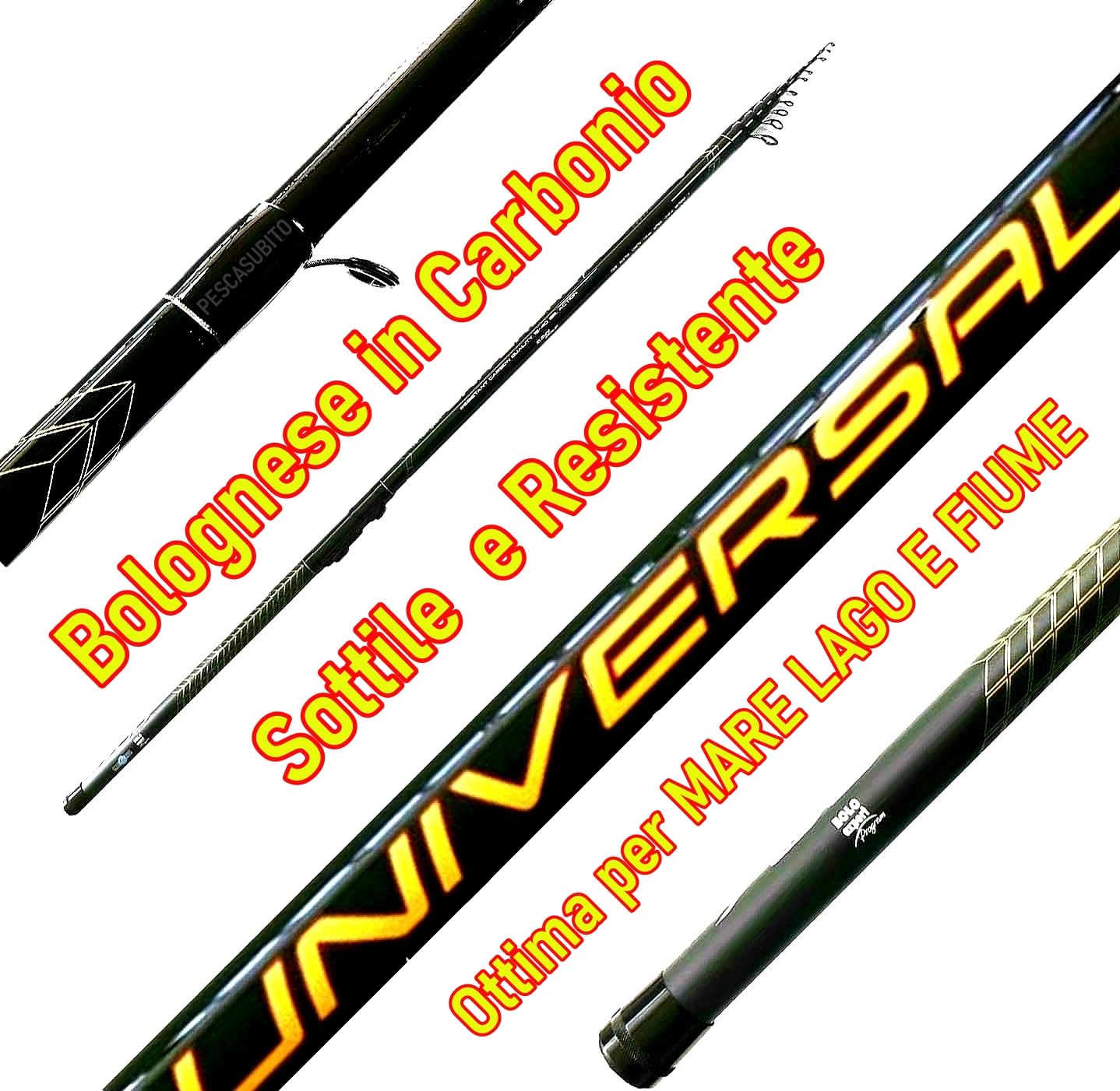 Canna Bolognese Universal 6Mt in Carbonio Pesca Mare Lago Fiume Trota