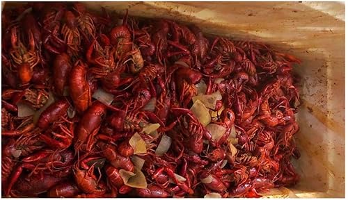 Miniatura 9 de Allinliner Forro de plástico para enfriador  Forro enfriador desechable  Sin BPA para pesca, camping, barbacoa, carnicería, bebidas, bolsas de hielo