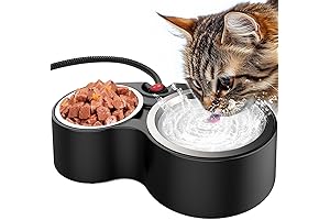 Heated Cat Food and Water Bowls: Winter Solution for Outdoor Cats