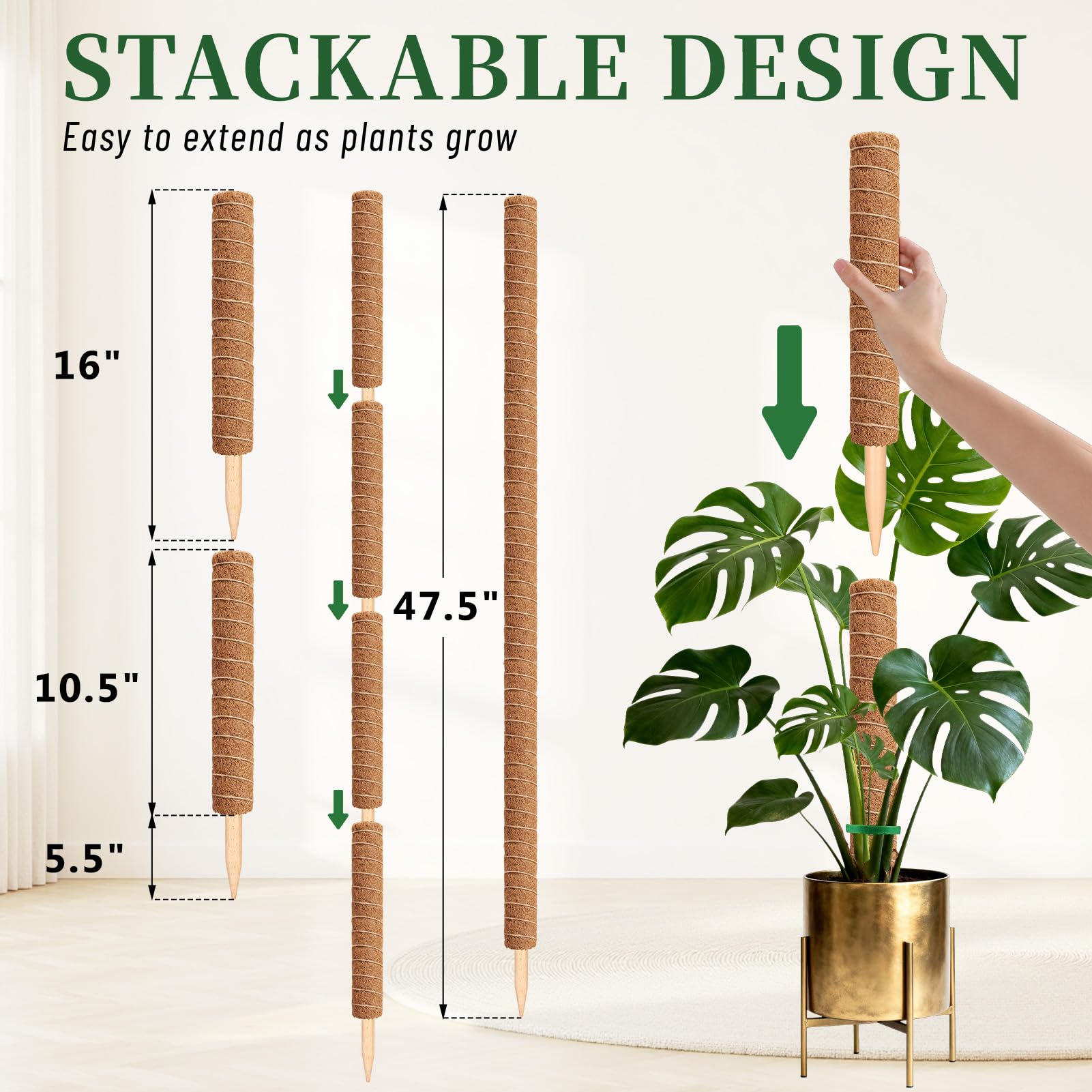 Fabulas Moss Pole - 48 Inch for Monstera & More -5 Fabulas Moss Pole - 48 Inch for Monstera & More -5