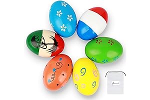 6-Piece Egg Shakers