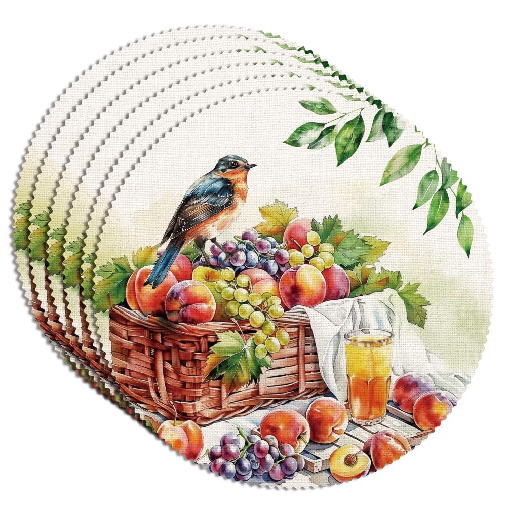 WADORN 6Pcs Round Bird Fruit Basket Placemats, 15x15 Inch Country Farmhouse Table Placemats for Dining Table Decoration Vintage Polyester Washable Table Mats for Party Kitchen Restaurants Hotel