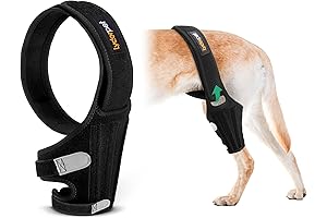 Dog Rear Leg ACL Brace for Cruciate Ligament Injuries