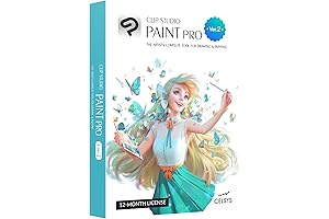 CLIP STUDIO PAINT PRO - The Artist's Digital Haven