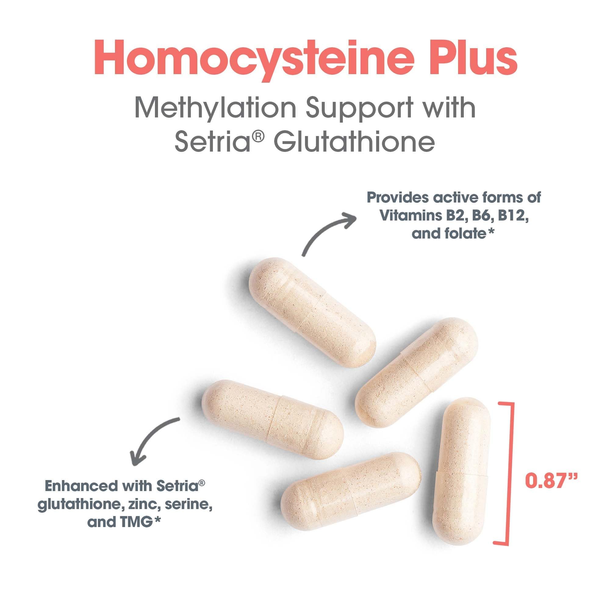 Amazon.com: Allergy Research Group Homocysteine Plus Supplement - with  Setria Glutathione, Vitamin B Complex, Trimethylglycine, Vegetarian  Capsules - 90 Count : Health & Household