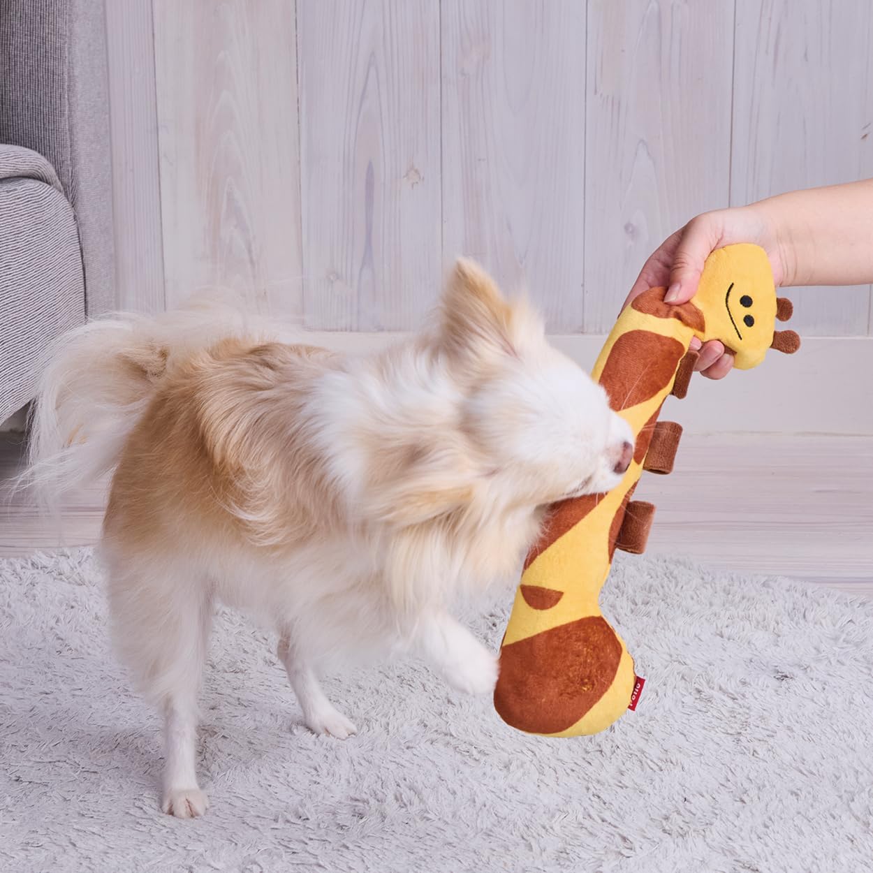 Amazon.co.jp: ペティオ (Petio) 犬用おもちゃ プイプイタグかMe