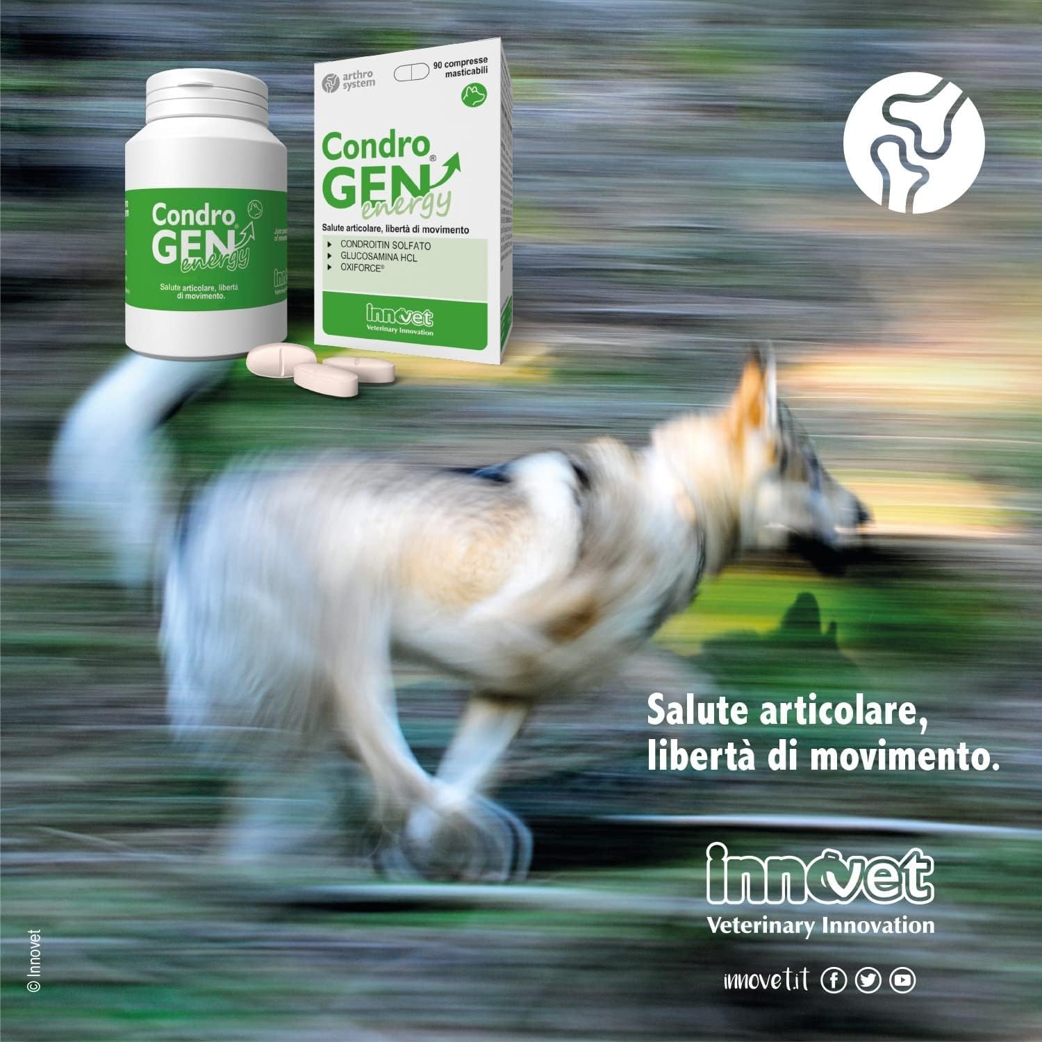 Innovet, Condrogen Energy, per Articolazioni dei Cani, Ideale per Cuccioli e Cani Attivi, con Glucosamina e Condroitin, 90 Compresse Masticabili
