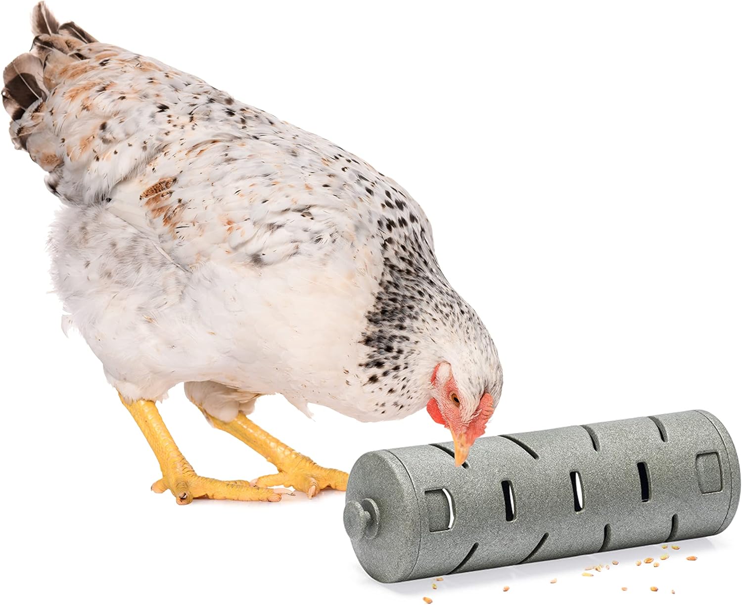 FINCA CASAREJO - Comedero Rodillo Interactivo para Gallinas y Otras Aves - Juguete para Gallinas - Comedero Divertido para Alimentar Gallinas - Snack Roller