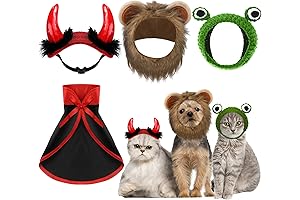 Charming Small Dog Devil Costume: A Halloween Delight for Your Furry Friend