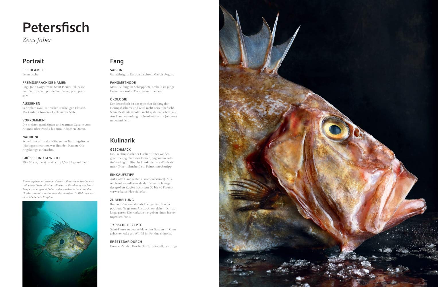 Das große Buch vom Fisch (TEUBNER Edition)