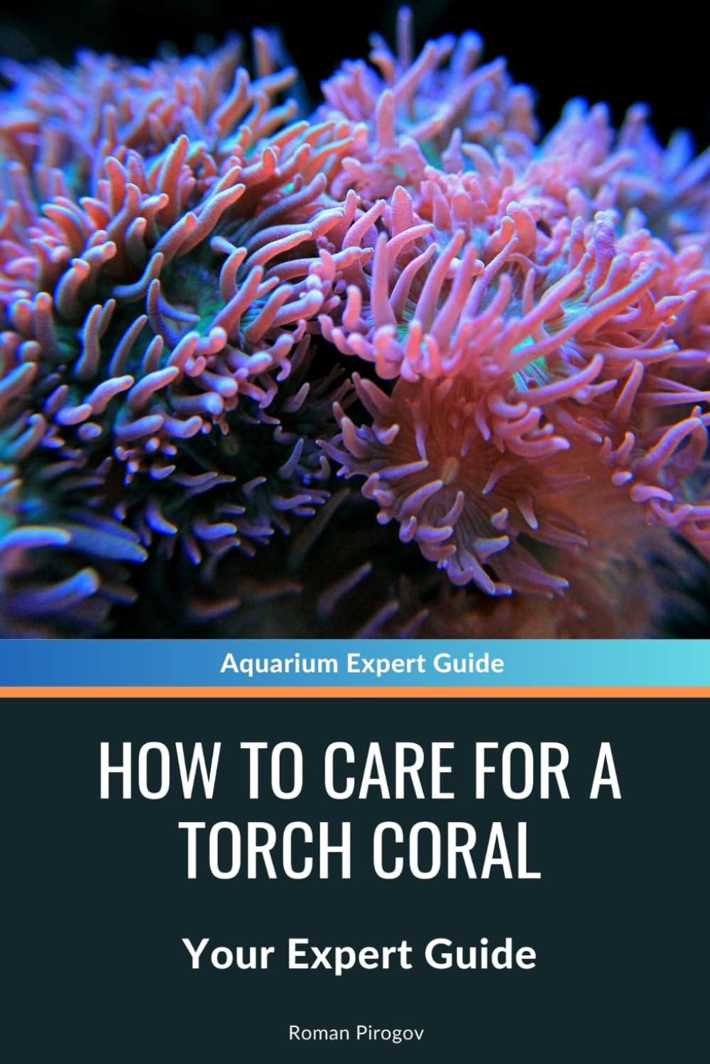 How to Care for a Torch Coral: Your Expert Guide