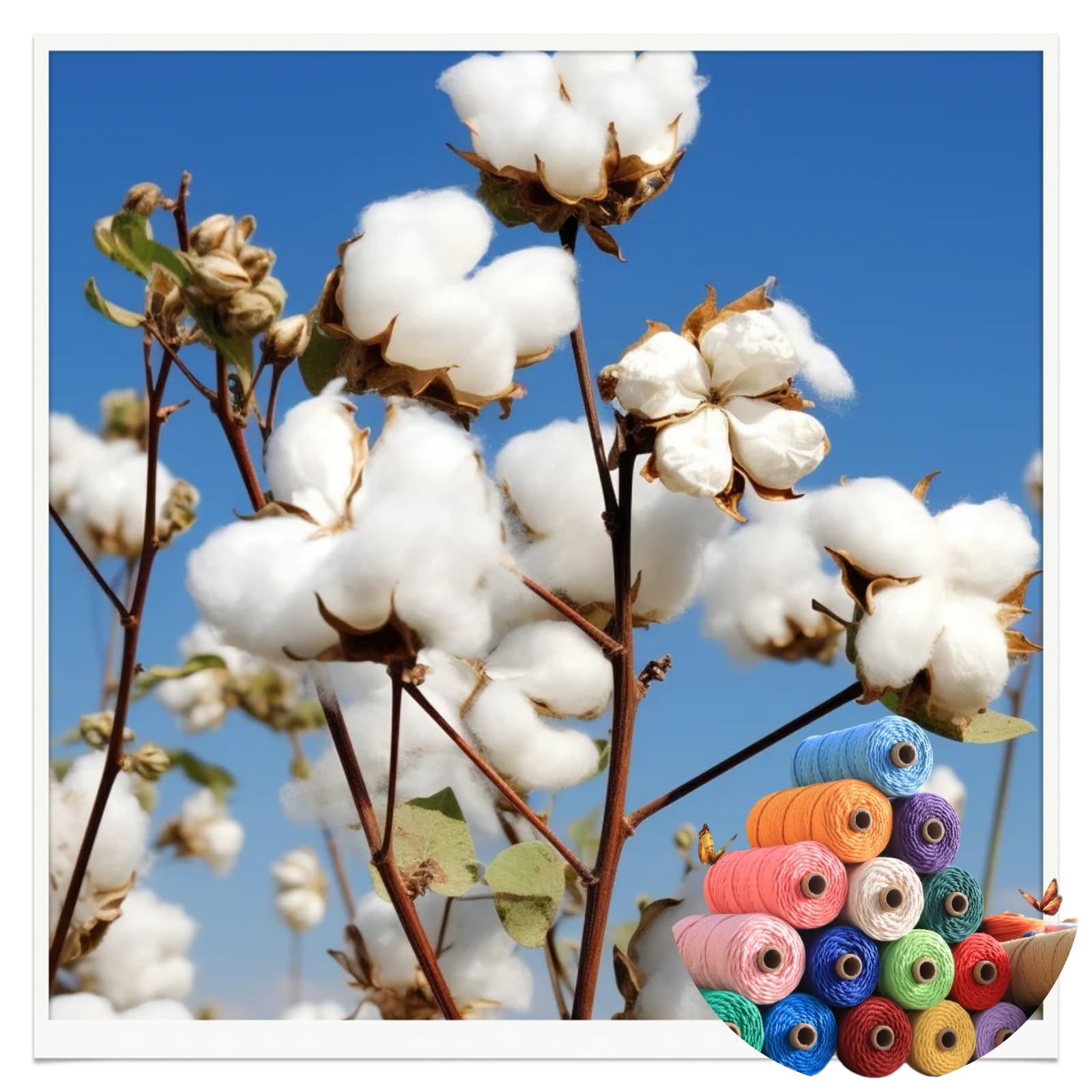 1/5 Stück Baumwollseil,4mm farbiges Makramee-Seil, Bunt Baumwollseil,5 Farben Makramee-Garn, zum Aufhängen, DIY Handwerk, Basteln, Stricken (5 Farben)