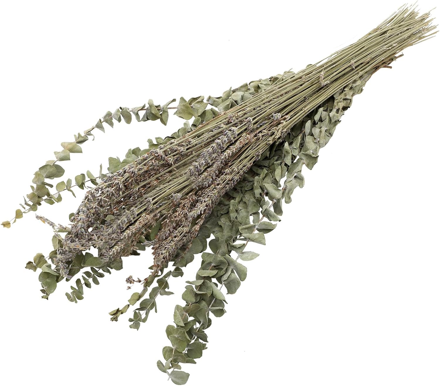 Dried Lavender Bunch and Eucalyptus Leaf Stems Bouquet, Natural Preserved Flowers for Home Décor, Aromatherapy Fragrance, Wedding and Vase Decoration, 12 Eucalyptus Leaves with 40g