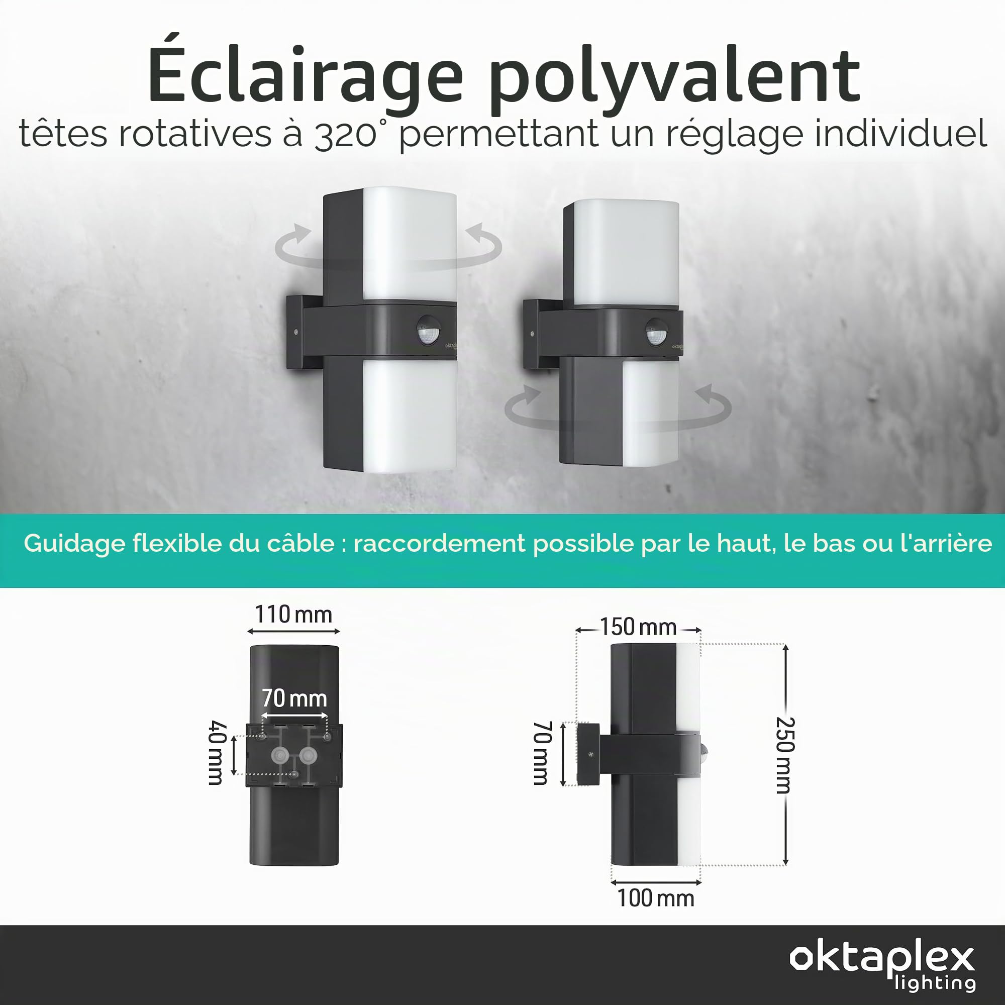 Oktaplex Duas Motion lampe extérieure avec détecteur 20W 1800lm 3000K